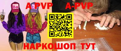 a pvp Кингисепп