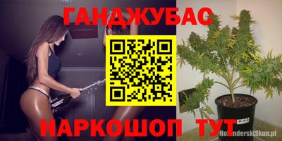 a pvp Кингисепп