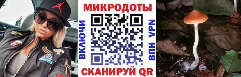 Псилоцибиновые грибы Psilocybine cubensis  omg рабочий сайт  Краснознаменск 