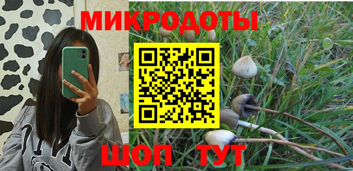 Псилоцибиновые грибы прущие грибы Краснознаменск